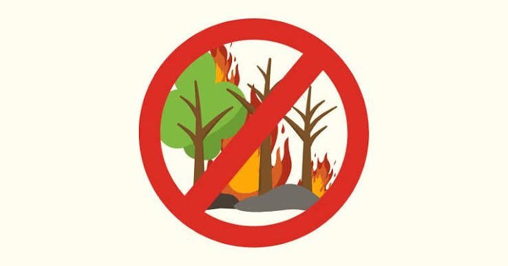 APPLICAZIONE DELLE MISURE DI PREVENZIONE RISCHIO INCENDI BOSCHIVI IN VISTA DEL PERIODO DI MASSIMA PERICOLOSITÀ PER GLI INCENDI BOSCHIVI - Campagna AIB 2026 - ANNUALITÀ 2026